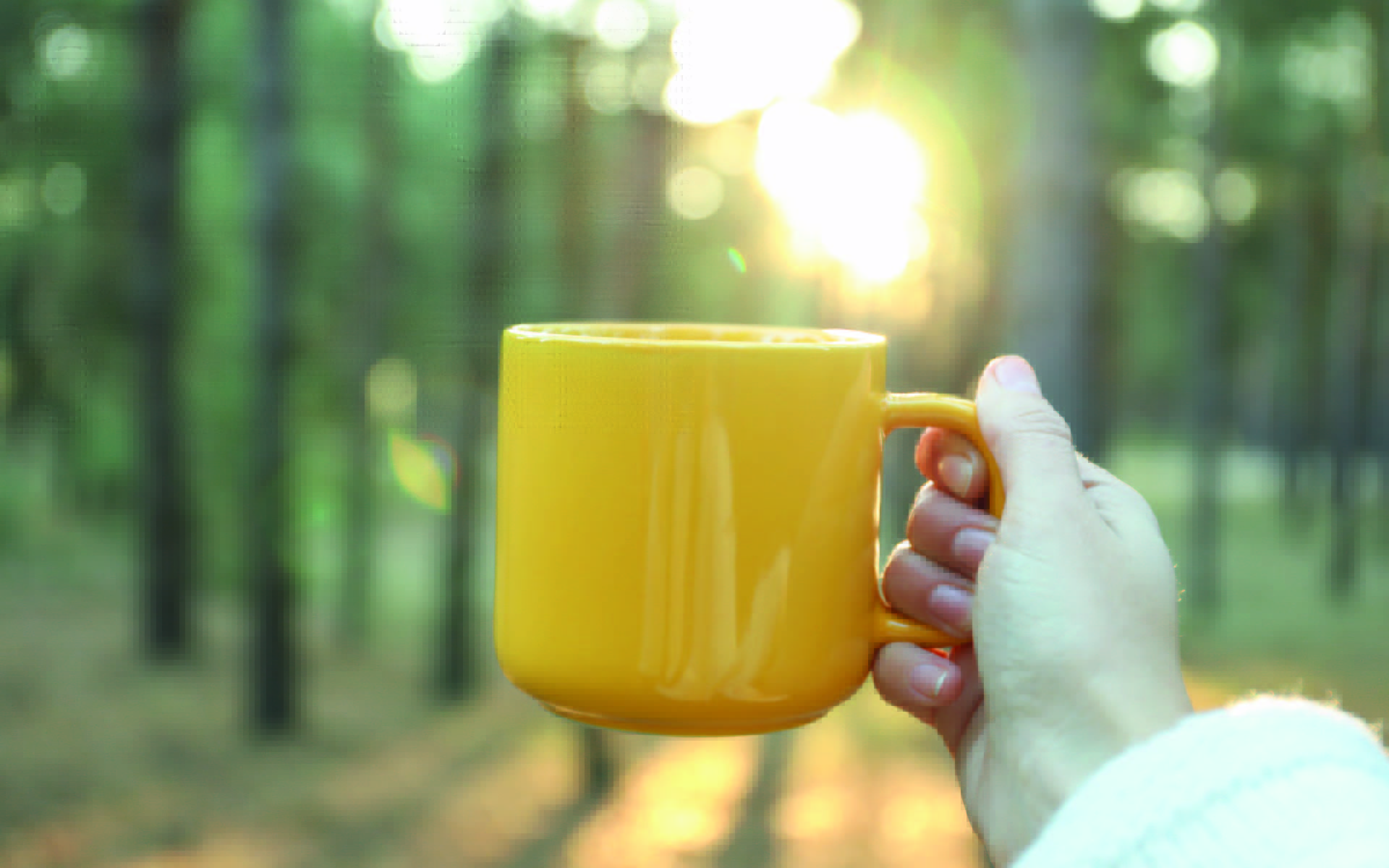 creating the new normal, transition back to business as usual
