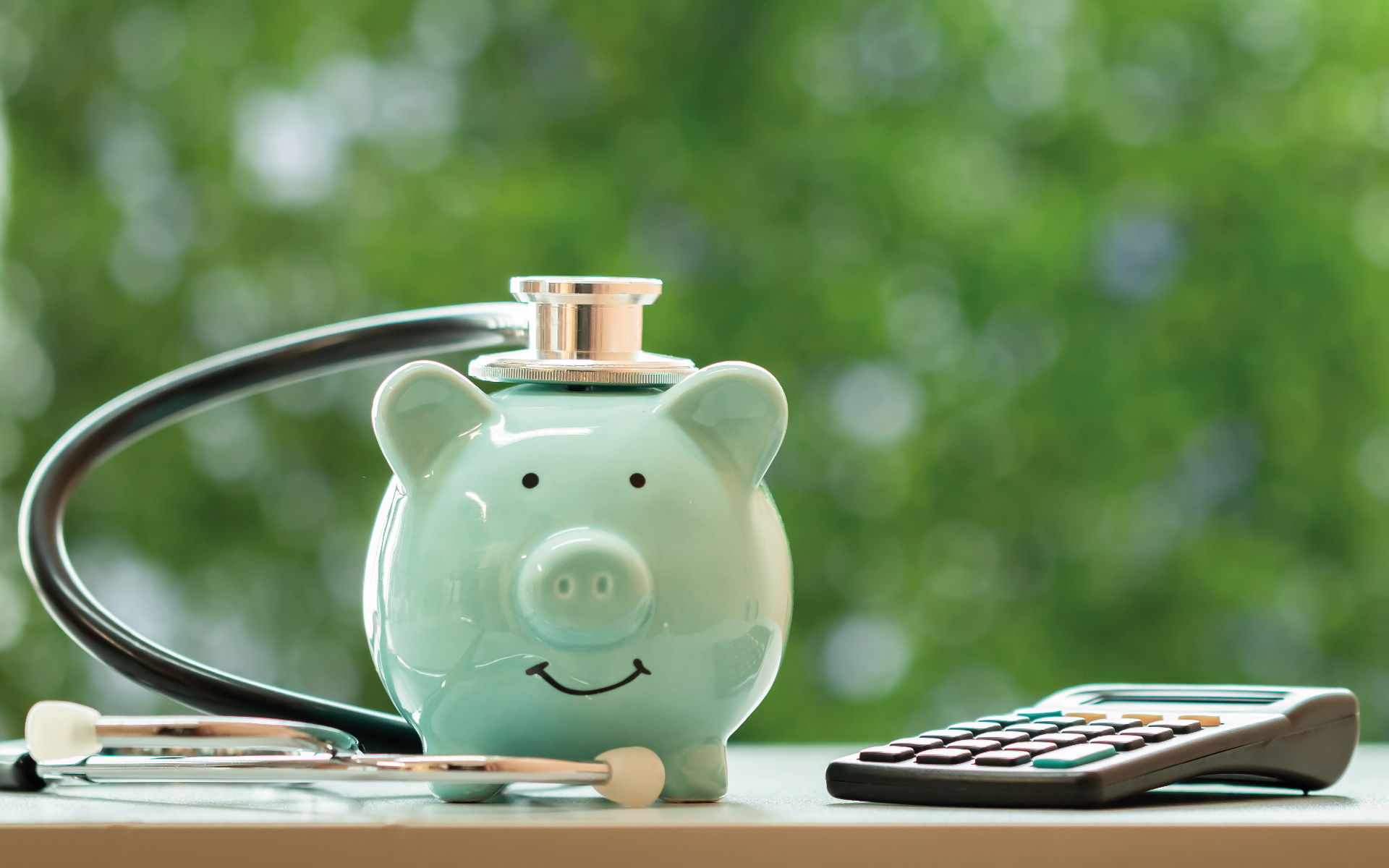 Piggy bank - payroll