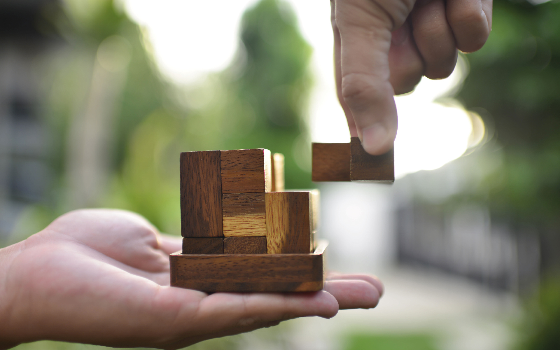Wooden block & Hands - organisational design