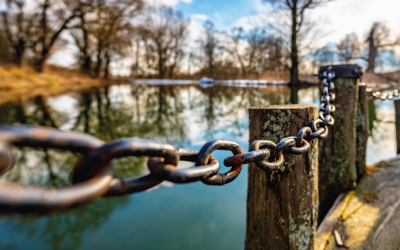 Here’s why HR is the missing link in successful business transformation