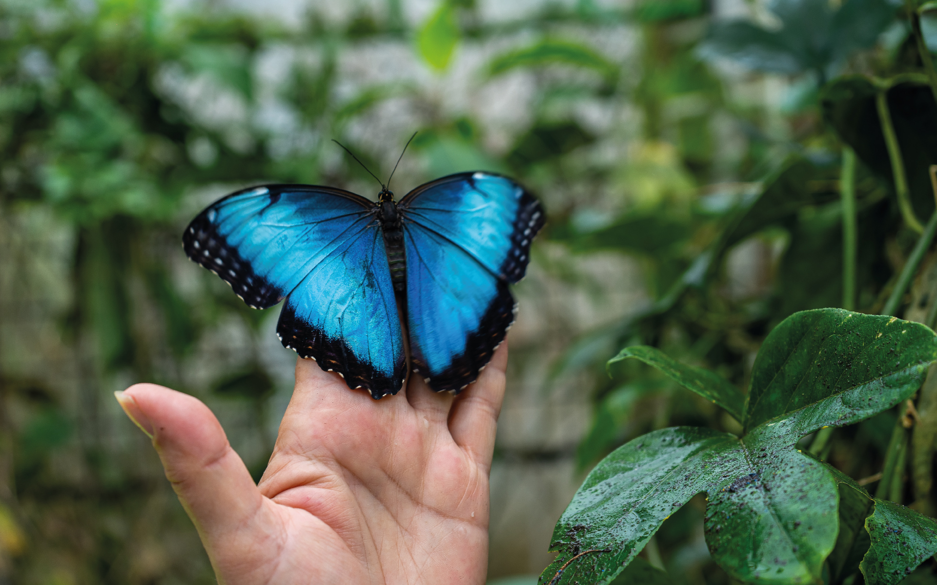 transformation isn't a buzzword