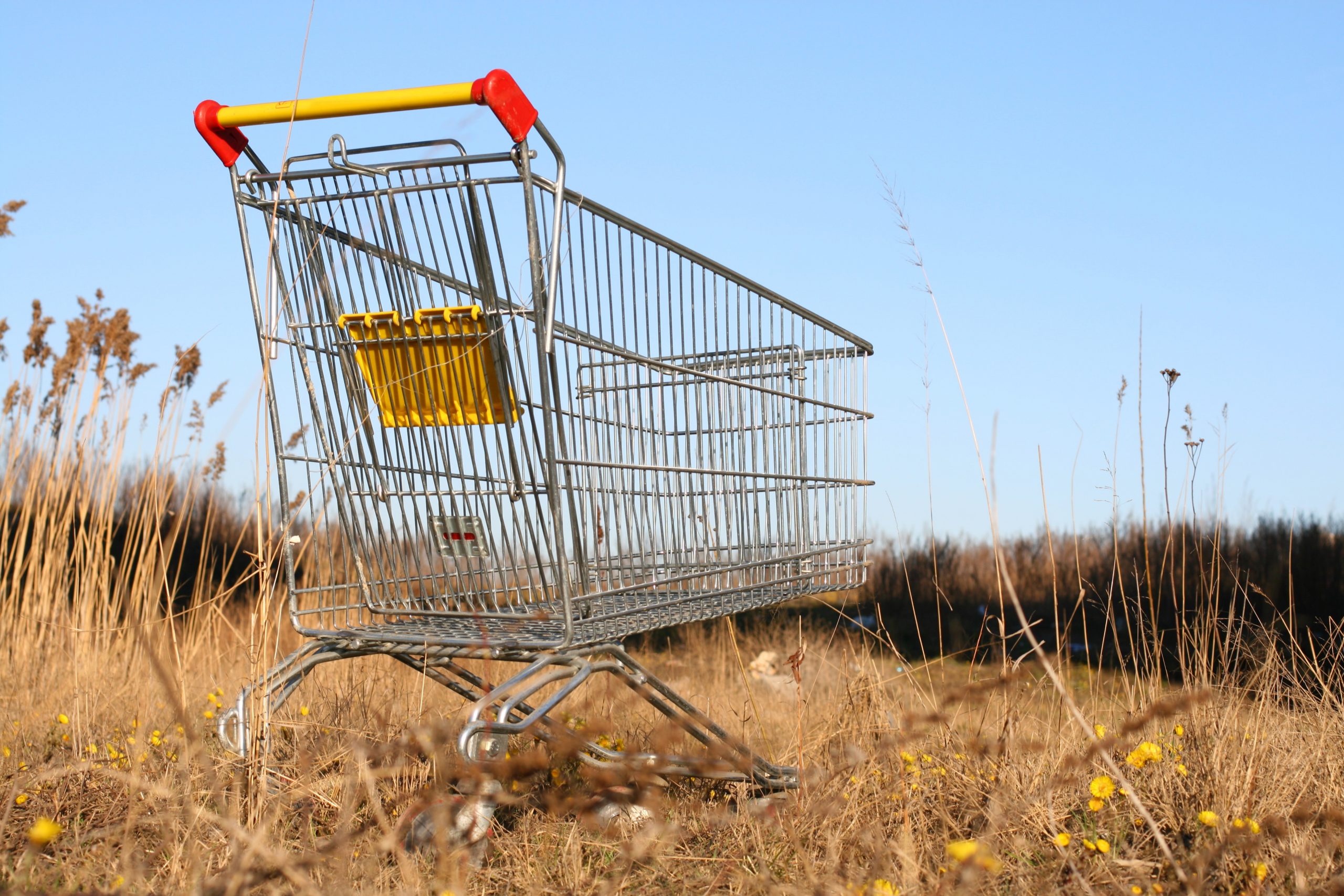 shopping for the right HR technology