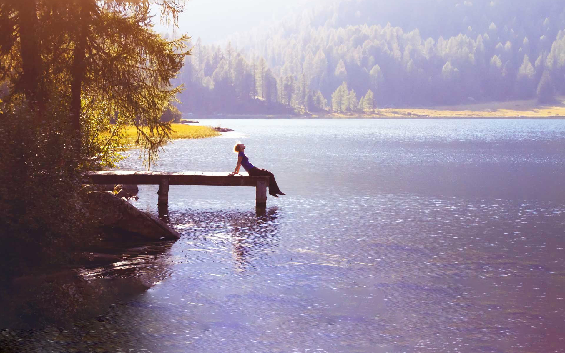Wellbeing in organisations