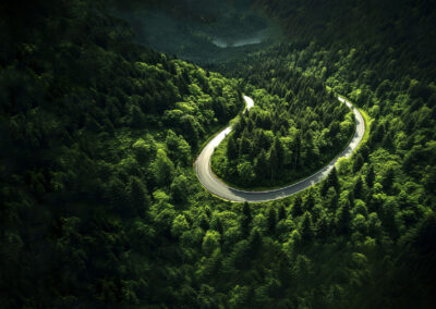 Defined collaboration strategy and implementation roadmap to improve workforce utilisation
