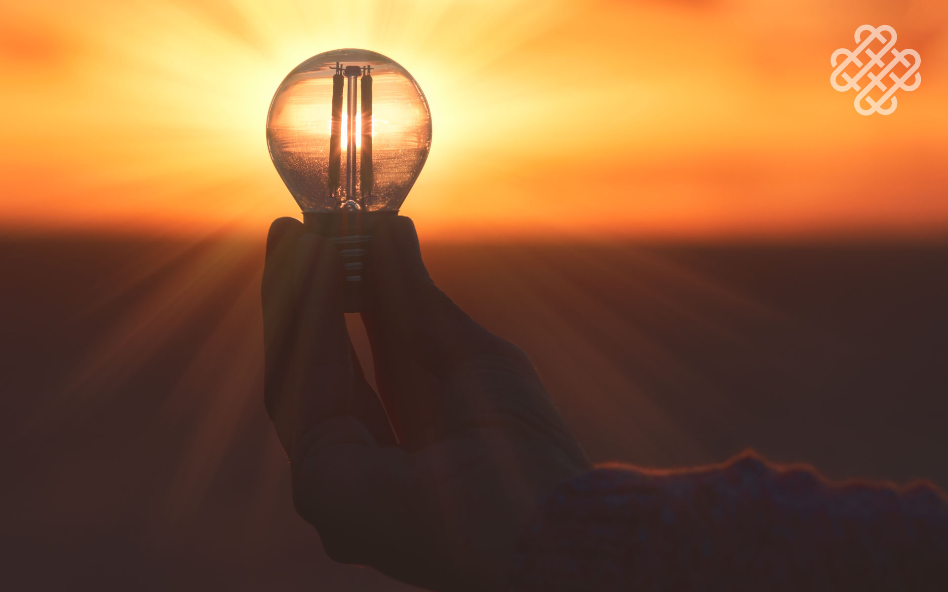 drive innovation - How can you drive innovation in your business?