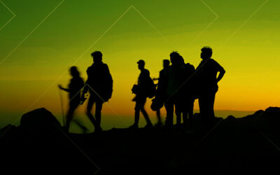 The cultural transformation of moving to a skills-based organisation 