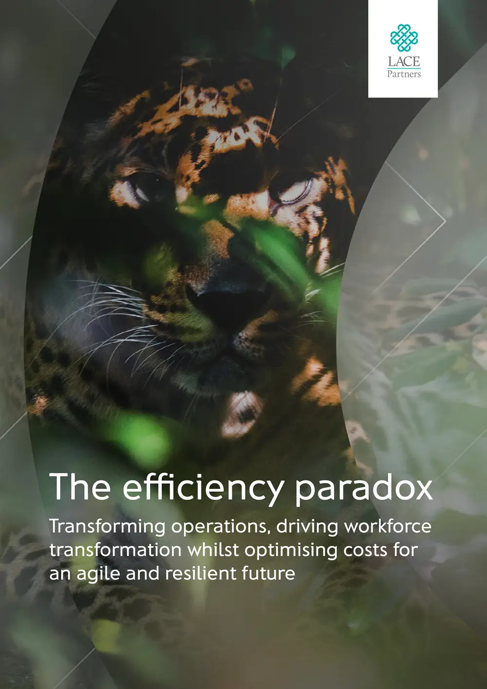 Efficiency paradox whitepaper - LACE Partners
