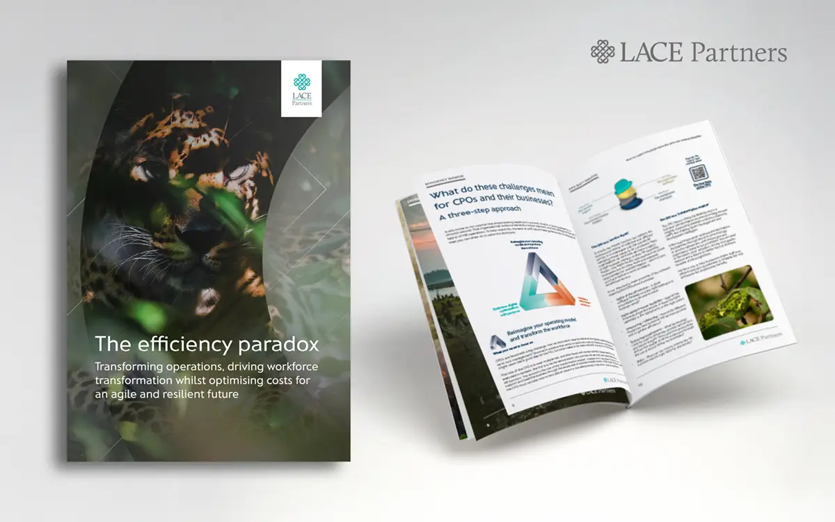 efficiency-paradox-ad-02c Efficiency paradox whitepaper - LACE Partners