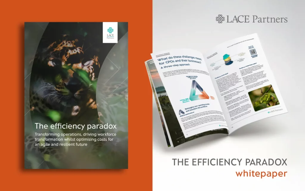 The efficiency paradox - new whitepaper - improve productivity while optimising costs