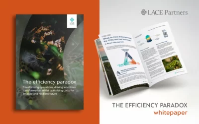 The efficiency paradox – Whitepaper