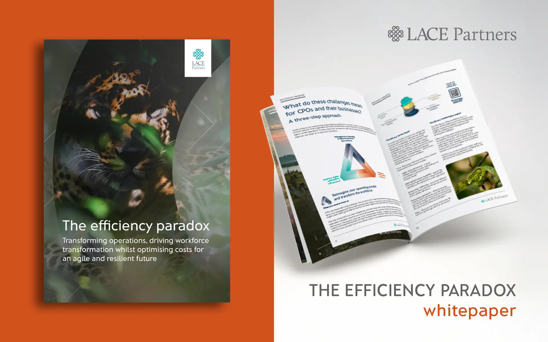 The efficiency paradox