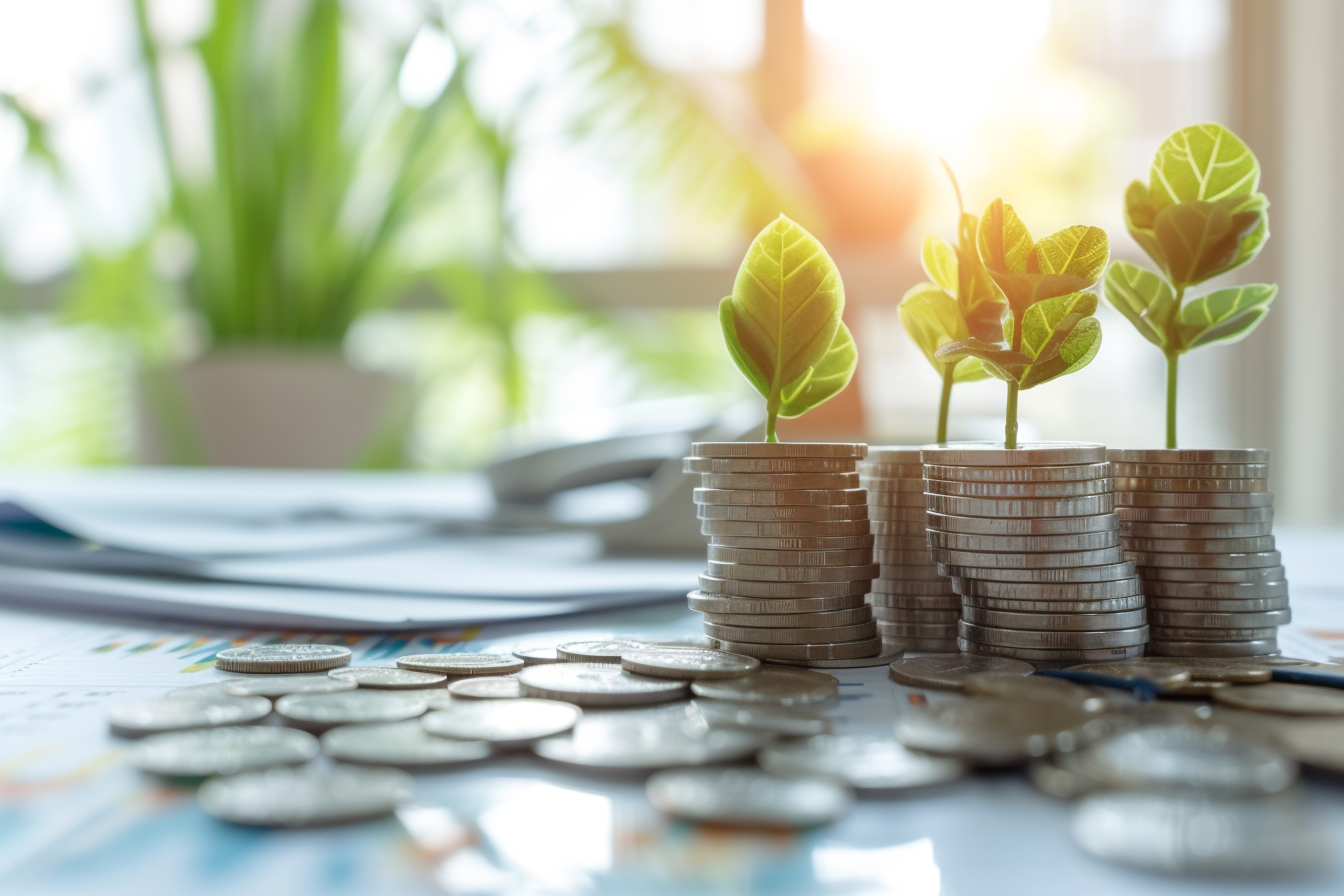 Building a foundation for future payroll success – CIPP