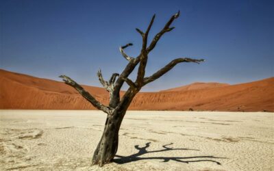 Quiet cracking: The invisible threat to your workforce?