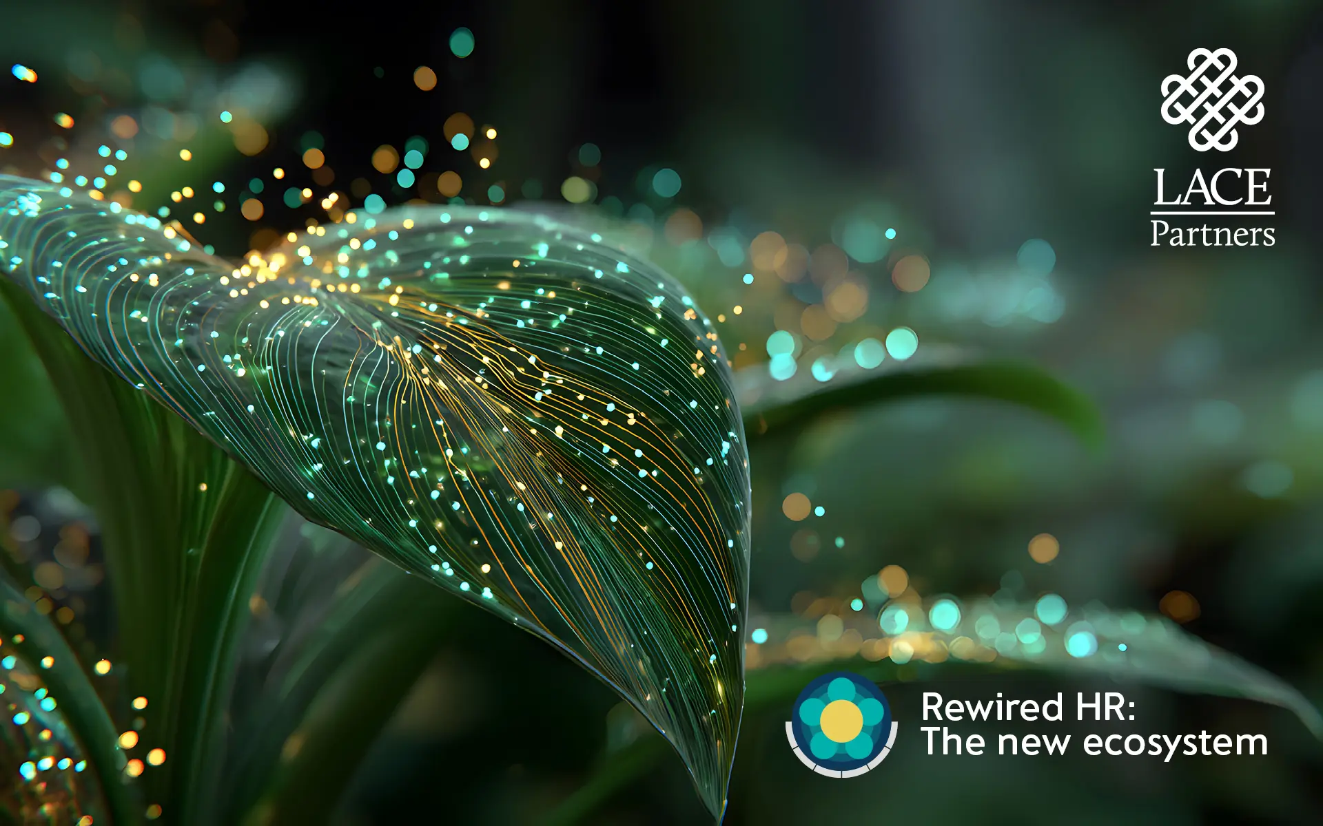 rewired HR - the new ecosystem - LACE Partners