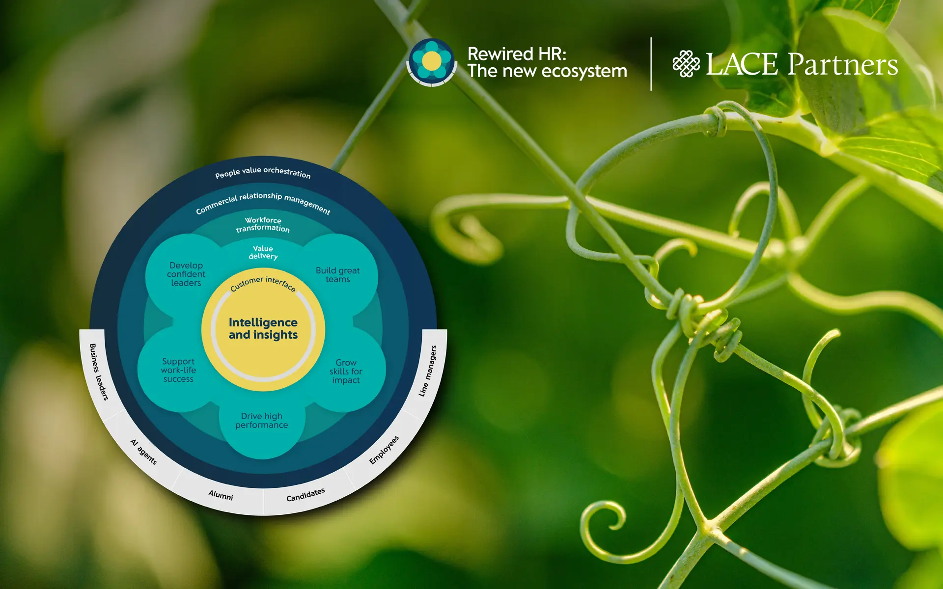 rewired-hr-3a-01 rewired hr - your guide to future proof your op model - LACE partners