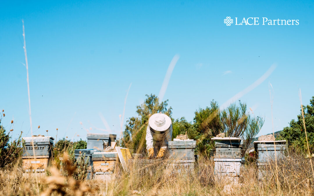 How to gain maximum value and efficiency through payroll outsourcing