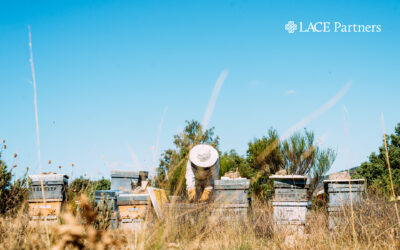 How to gain maximum value and efficiency through payroll outsourcing