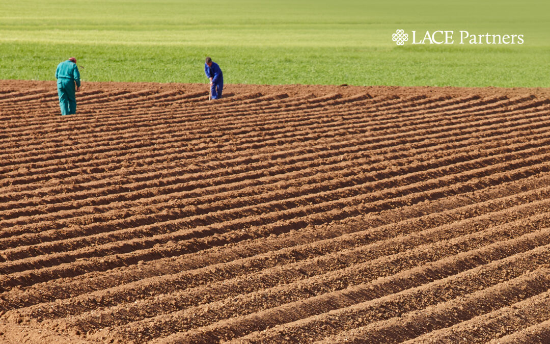 Adoption drives value: Setting the foundations for success