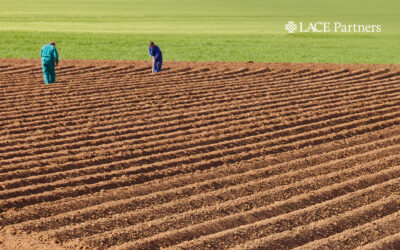 Adoption drives value: Setting the foundations for success