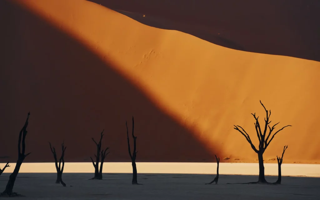 arid environment representing AI anxiety