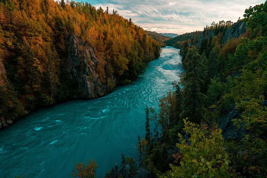 stream, water flowing - Merger and Acquisition - white paper
